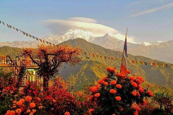1-Day Private Dhampus Trekking Tour - Why Dhampus Works When You Only Have One Day in Pokhara