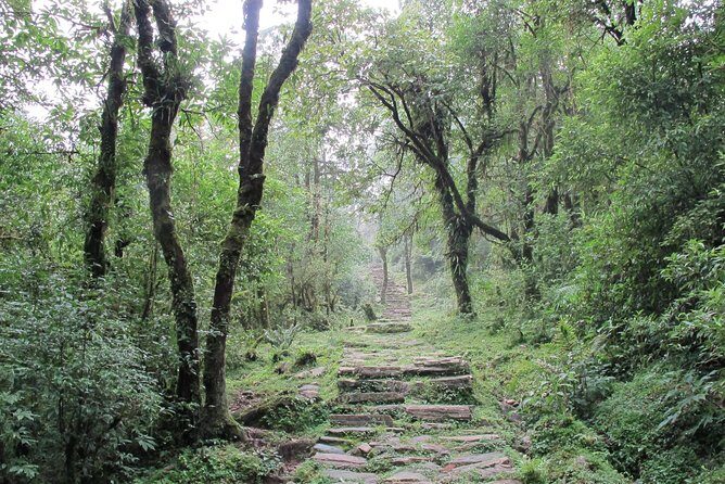 1-Day Private Dhampus Trekking Tour - Who Should Book This 1-Day Private Dhampus Trek (and Who Shouldn’t)