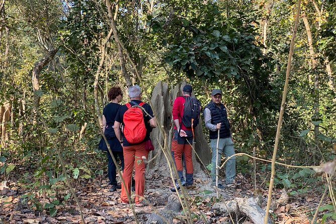 1 Night 2 Days Chitwan Jungle Safari Tour from Kathmandu - Day 1 in Chitwan: lunch, Tharu village, elephant stable, and sunset stick dance