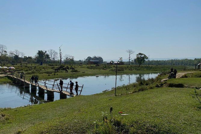 1 Night 2 Days Chitwan Jungle Safari Tour from Kathmandu - Resort time in between: where the trip lives or dies