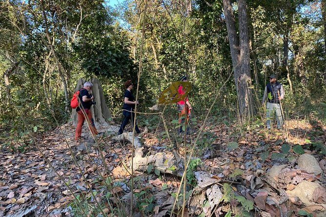1 Night 2 Days Chitwan Jungle Safari Tour from Kathmandu - What to pack and how to stay comfortable