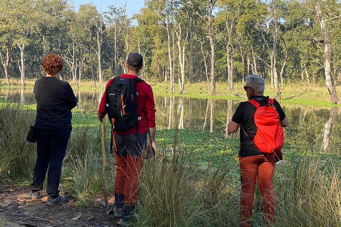 1 Night 2 Days Chitwan Jungle Safari Tour from Kathmandu - Who this tour is best for (and who should think twice)