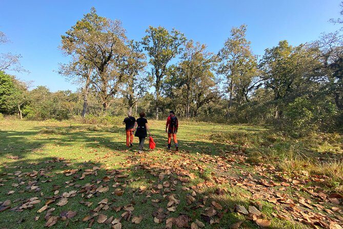 1 Night 2 Days Chitwan Jungle Safari Tour from Pokhara or Kathmandu - Day 2: Morning Bird Watching and an Early Return