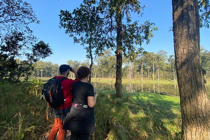 1 Night 2 Days Chitwan Jungle Safari Tour from Pokhara or Kathmandu - Price and Value: What Your $140.80 Includes