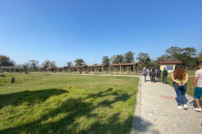 1 Night 2 Days Chitwan Jungle Safari Tour from Pokhara or Kathmandu - Who This Tour Suits Best