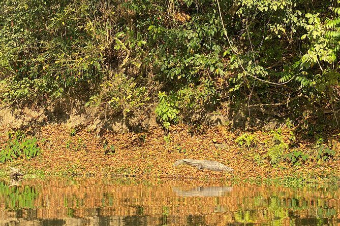 1 Night 2 Days Chitwan Jungle Safari Tour from Pokhara or Kathmandu - Day 1: Jeep Safari and Rapti River Sunset Setup