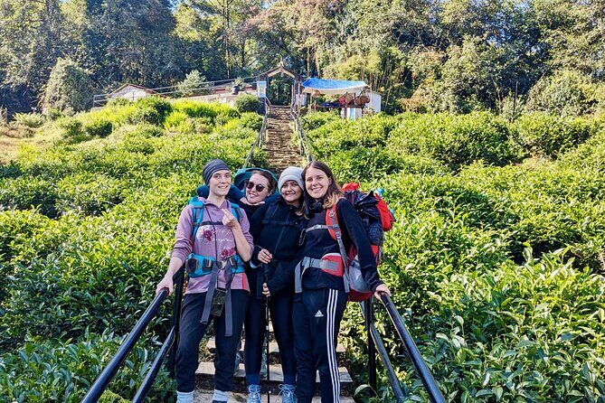 10 Days Private Guided Annapurna Basecamp Trek via Poon Hill - Chhomrong and the Suspension Bridge: Where the Views Start Getting Serious