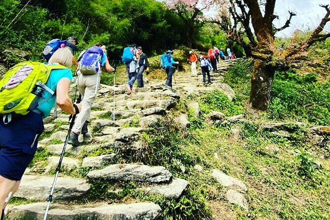 11-Day Hike Tour to Annapurna Base Camp Bliss in Kathmandu - Poon Hill to Base Camp: what makes this trek feel worth it
