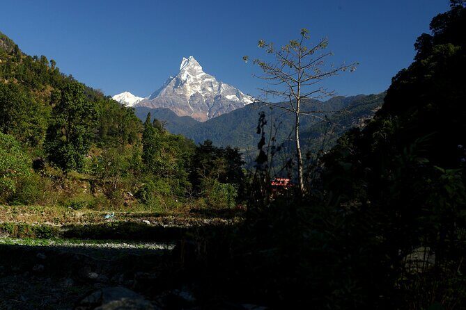 12-Day Nepal Adventure Trek with Jungle Safari - Your first morning in Kathmandu: airport pickup and an early start