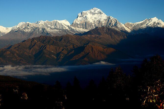 12-Day Nepal Adventure Trek with Jungle Safari - The Annapurna trek begins: Tikhedhunga to Ghorepani (with Ulleri’s climb)