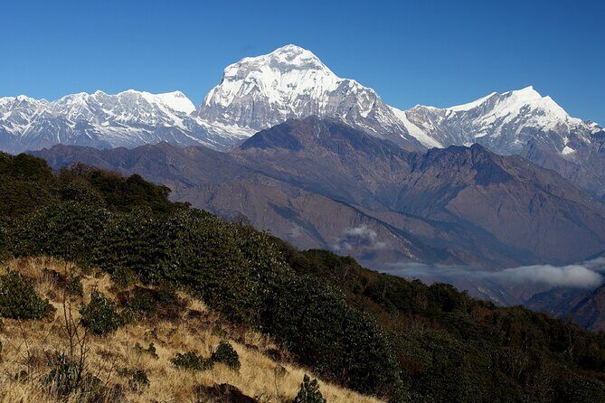 12-Day Nepal Adventure Trek with Jungle Safari - Chitwan National Park: Tharu village, jungle walking, and safari time