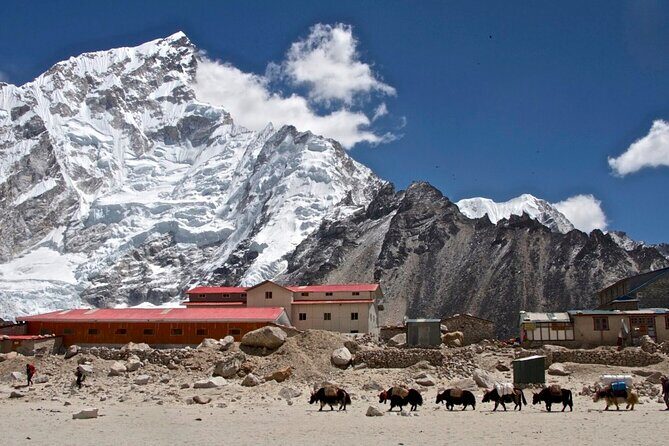 12 Days Everest Base Camp Trek - Day 12: fly back to Kathmandu and ease into real life