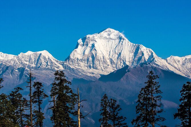 12 Days Trek Tour in Nepal - Day 6: The Hard Push to Mohare Danda (and Why Sunrise Here Hits)