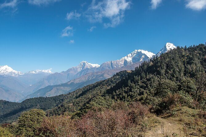 12 Days Trek Tour in Nepal - Day 7: Sunrise Views, Gorepani Passing, and the Walk to Deurali