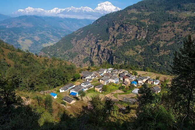12 Days Trek Tour in Nepal - Price and Logistics: What $1,500 Really Buys You