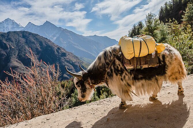 13-Day Private Trekking Experience in Everest Base Camp - Gorak Shep, Everest Base Camp, and Kala Patthar: Where You Earn the Big Views