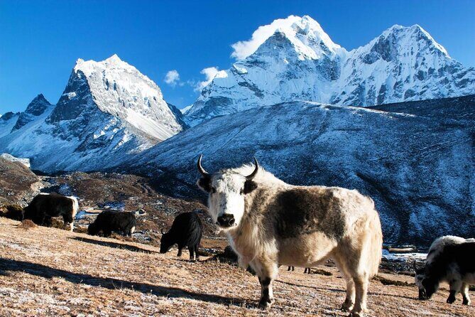 14-Days Private Everest Base Camp Trek - Key things to know before you go