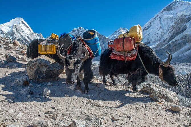14 Days Private Tour Everest Base Camp Trek - Dingboche: a glacier-and-views transition day