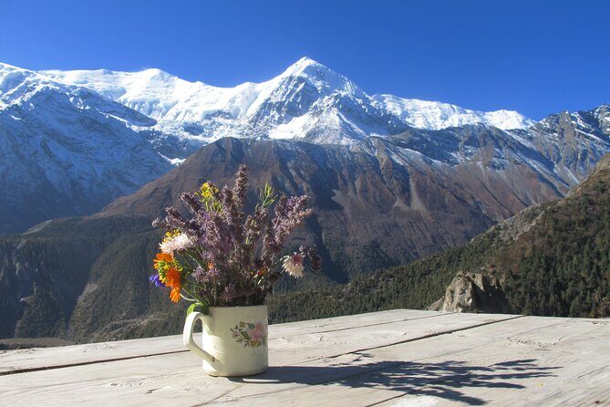 15-Day Private Annapurna Circuit Trek from Kathmandu - Day 11 to Day 12: Muktinath Options, Then Tatopani’s Hot Springs and Down-Trek Energy