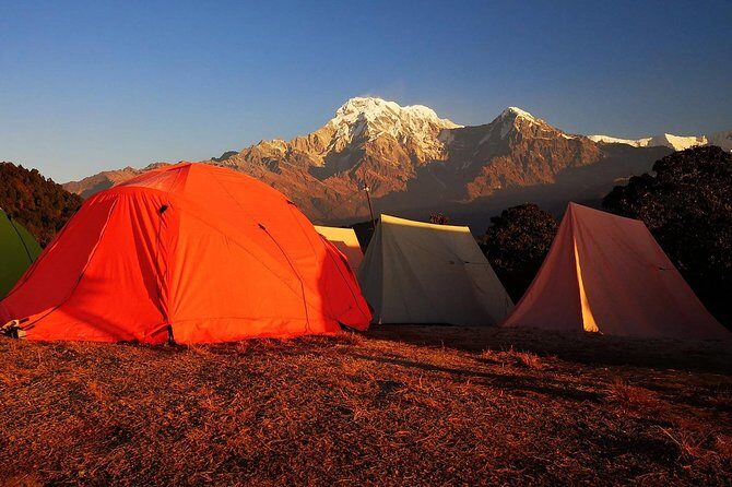 2-Day Private Trekking Tour to Australian Camp & Dhampus - Price and logistics: is $99 per person good value?