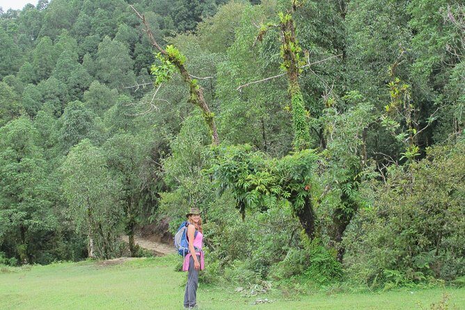2-Day Private Trekking Tour to Australian Camp & Dhampus - Small realities to plan for