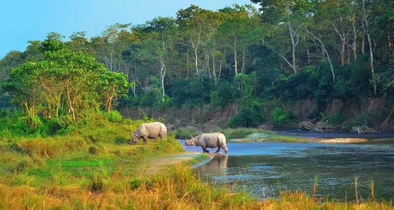2 Days Chitwan Jungle Safari Tour from Pokhara/Kathmandu - Rainbow Safari Resort: your one-night base (and why it matters)