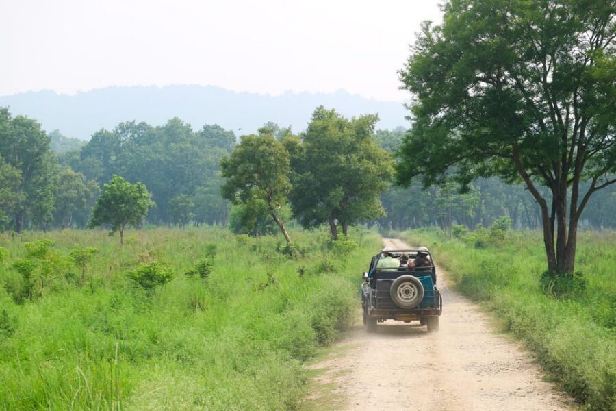 2 Days Chitwan Jungle Safari Tour from Pokhara/Kathmandu - Should you book this 2 days Chitwan Jungle Safari?