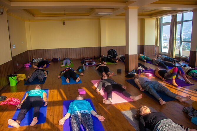 29-Day Rejuvenating and Life Changing Yoga class in Nepal - Asana Training: From First Poses to More Advanced Work