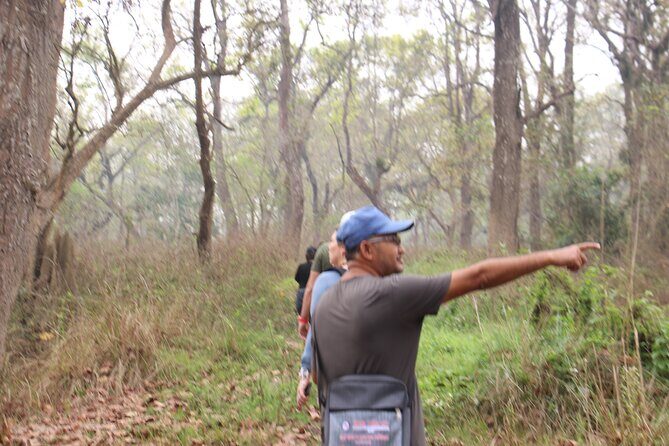 3-Day Chitwan National Park Jungle Safari Tour Package with Pick Up - Why Chitwan Works for a Fast, Safari-Focused Trip