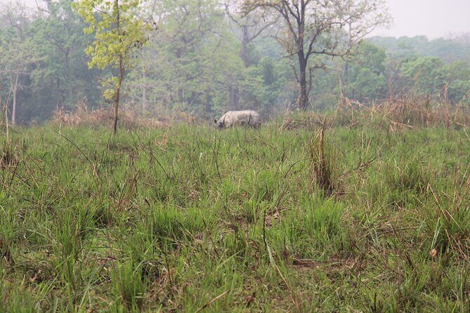 3-Day Chitwan National Park Jungle Safari Tour Package with Pick Up - Day 1 in Chitwan: Arrival, Briefing, and Tharu Village Context