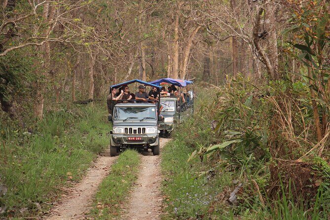 3-Day Chitwan National Park Jungle Safari Tour Package with Pick Up - Where You Sleep and Why “Basic but Pleasant” Can Still Be a Win