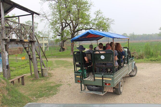 3-Day Chitwan National Park Jungle Safari Tour Package with Pick Up - Pickup, Buses, and the Timing That Can Make or Break the Mood