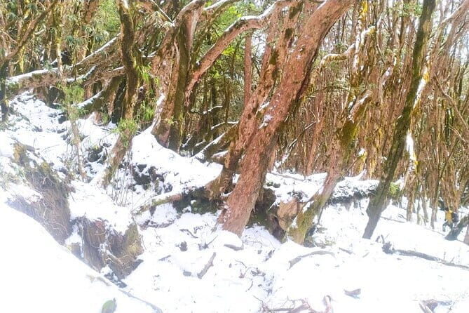 4 Day Mardi Himal Base Camp Trek from Pokhara - Getting from Pokhara to Kande (and Why Day 1 Starts in Forest Mode)