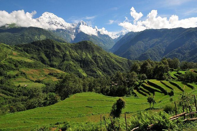 4-day Poon Hill Trek - The guide and porters: Why this trek stays comfortable