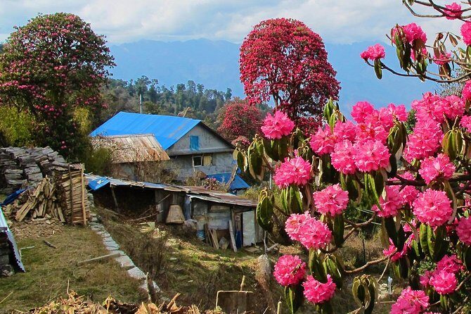 4-Day Private Poon Hill Trekking Tour - The Final Morning Near Pokhara: Another Peak View Before You Finish
