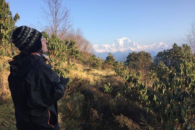 4 Days Poon Hill Trek - Why Poon Hill is the smart choice for a short Nepal trek