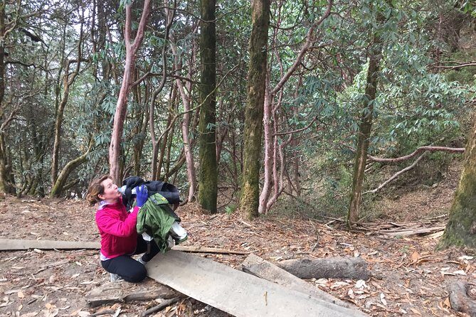 4 Days Poon Hill Trek - Your guide can make or break the “easy trek” feeling