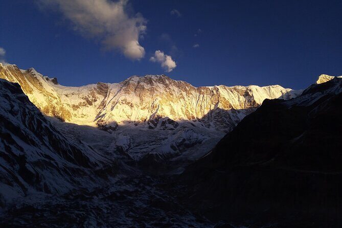 6 days Annapurna Basecamp Trek - Day 3: Dovan in the Modi River valley—rhododendrons, Hiunchuli, and Machhapuchchhre vibes