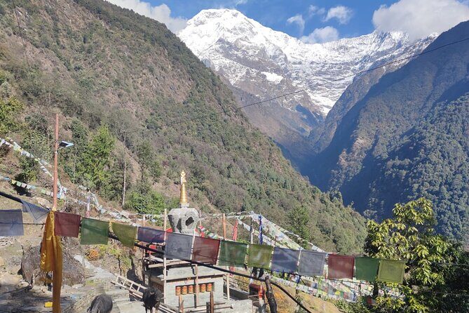 6 days Annapurna Basecamp Trek - Day 6: Back toward greenery—breakfast views and the reality check