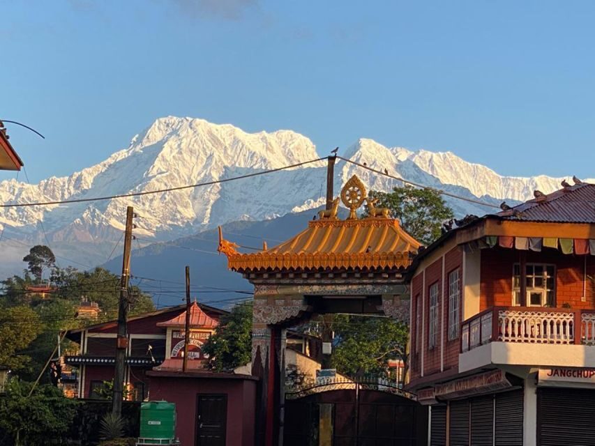 Afternoon Tibetan cultural tour - Afternoon prayer chanting at the monastery: sound as a lesson