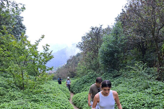 Amazing 1 Day Trekking Experience in Kathmandu Nepal - Pharping: green hills, town vibes, and Buddhist monastery surroundings
