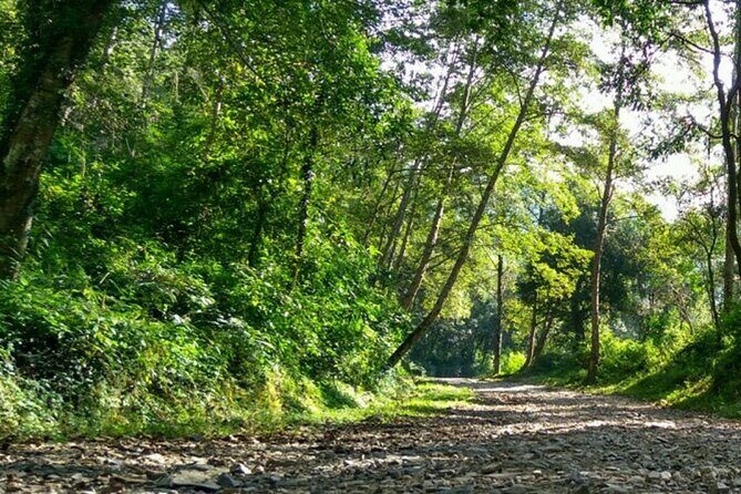 Annapurna Base Camp Trek- 11 Days - Chhomrong, Bamboo, and Deurali: the middle days that build your confidence
