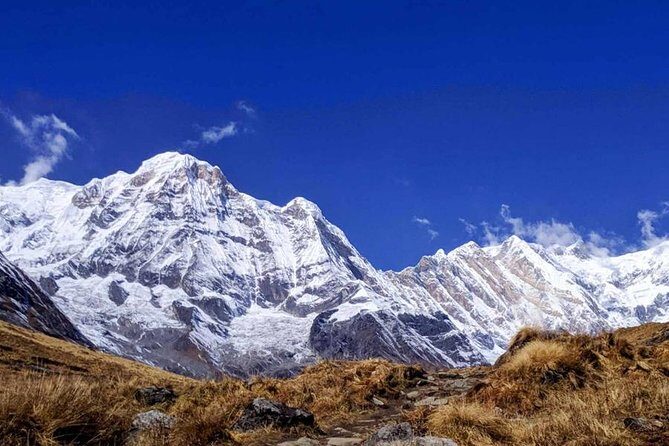 Annapurna Base Camp Trek- 11 Days - Going back down: Bamboo to Jhinu Danda and the reset through Naya Pul