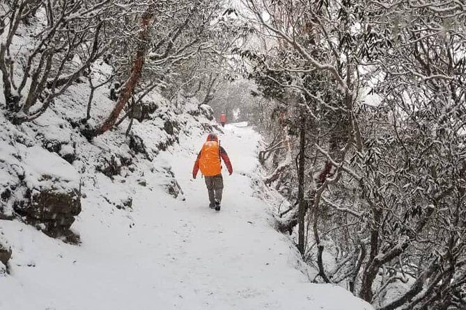 Annapurna base camp trek 5 Days - Day 4 at Annapurna Base Camp: the day everyone is really paying for
