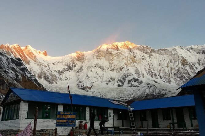 Annapurna Base Camp Trekking - Tadapani and Machhapuchhare Base Camp: forest walking with big mountain energy