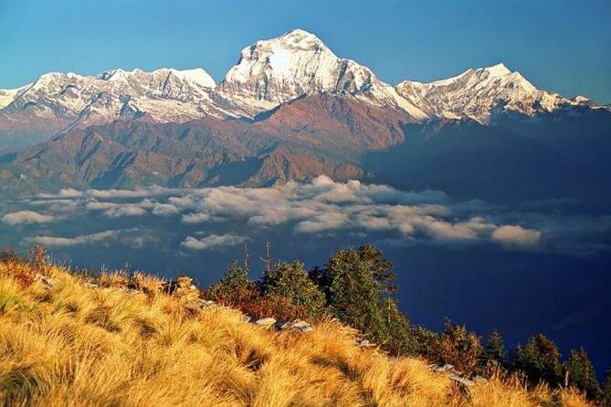 Annapurna Ghorepani Poonhill Trekking - Key Things That Make This Poon Hill Trek Worth It