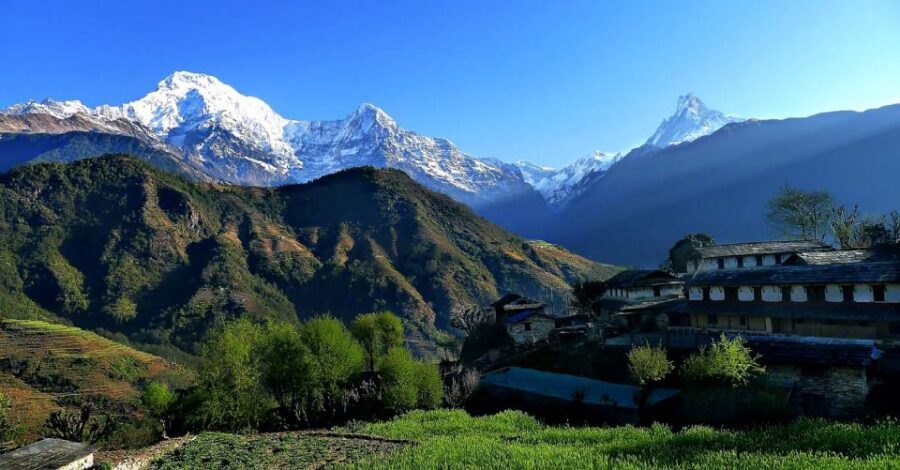 Australian Base Camp Day Hike From Pokhara - Dhampus on the descent: village life, terraced fields, and easier wandering