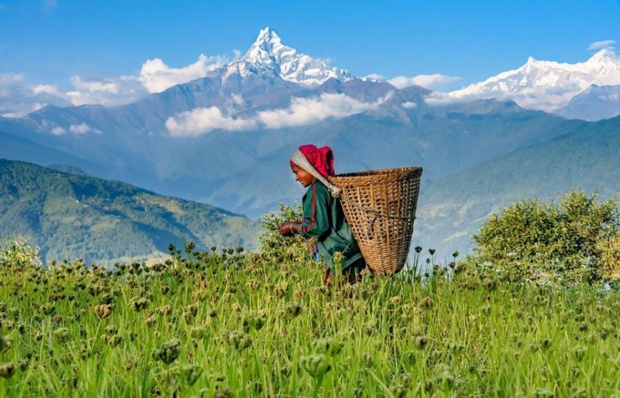 Day Hike at Annapurna Foothills - First Steps From Lakeside Pokhara: The Day’s Simple Setup
