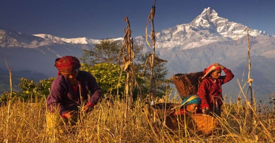 Day Hike at Annapurna Foothills - Who This Easy-Moderate Hike Fits (and Who Should Skip It)