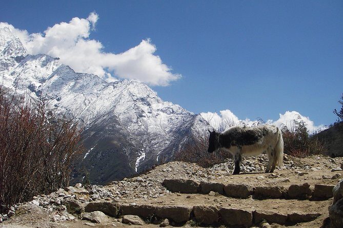 Everest Base Camp - Cho La Pass - Gokyo Trek - Private Trek Advantage: Your Group’s Pace, Not a Rush Schedule